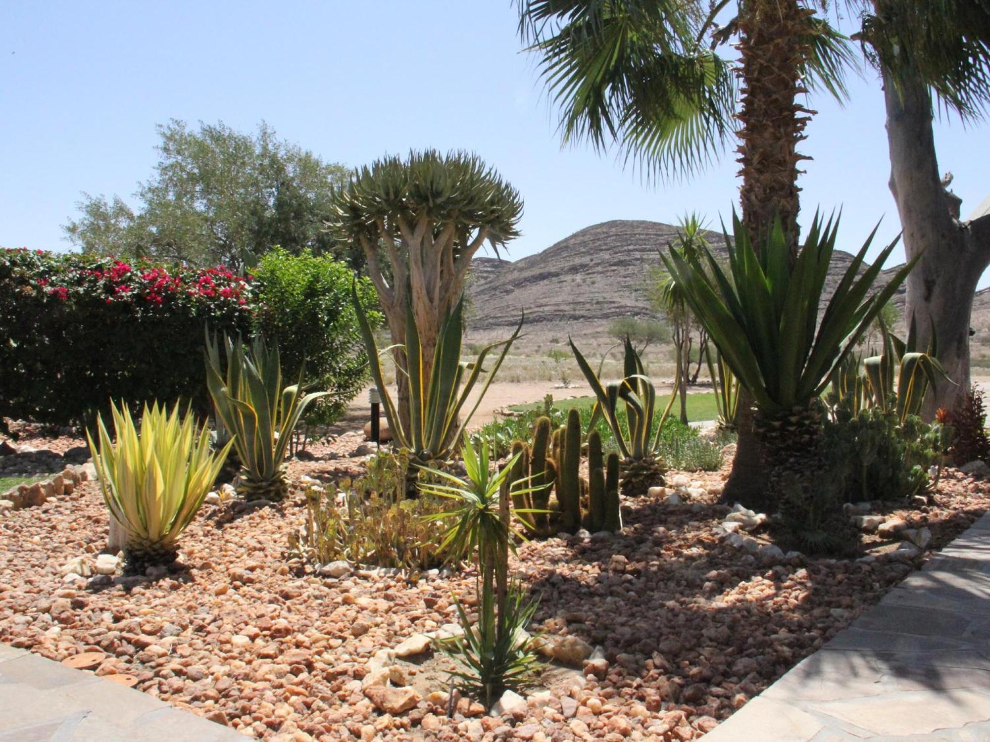 Rooisand Desert Ranch Chausib الغرفة الصورة