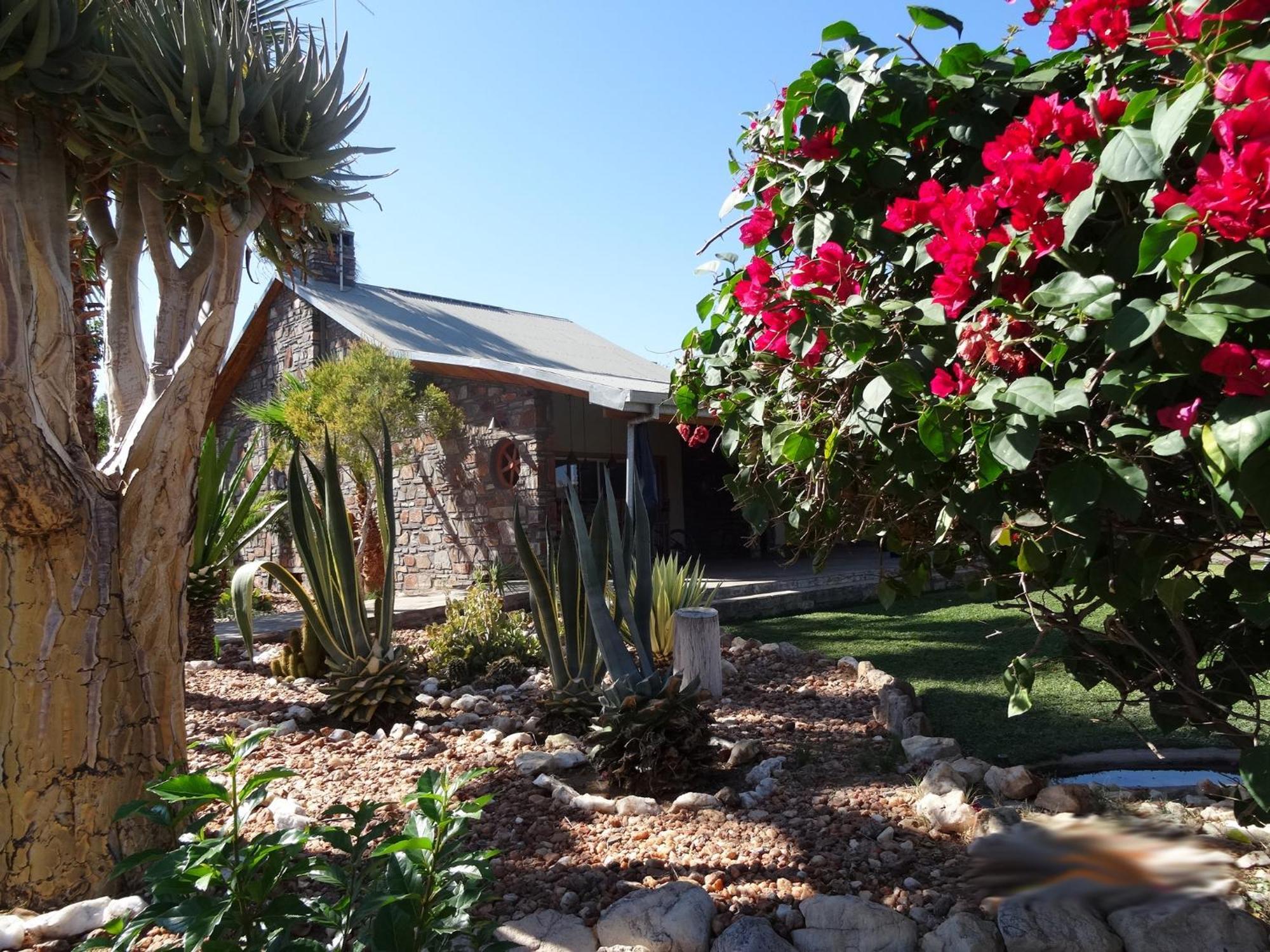 Rooisand Desert Ranch Chausib الغرفة الصورة